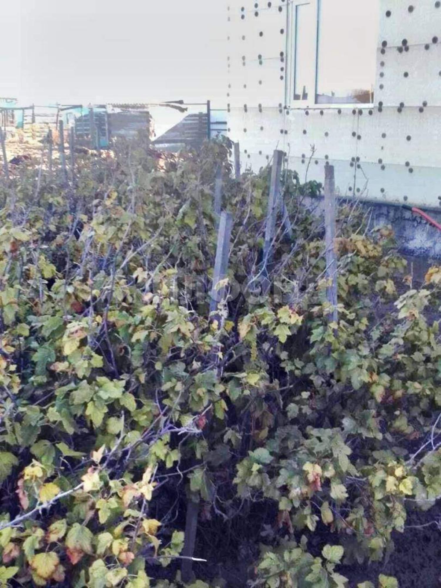 Купить дачу, дом, коттедж за 5 500 000 рублей на Хлебозаводская улица, д.107