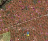 земля 6.13 сот Рябиновая улица