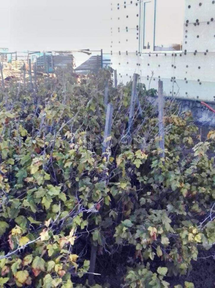 Коттедж/дом Хлебозаводская улица, д.107