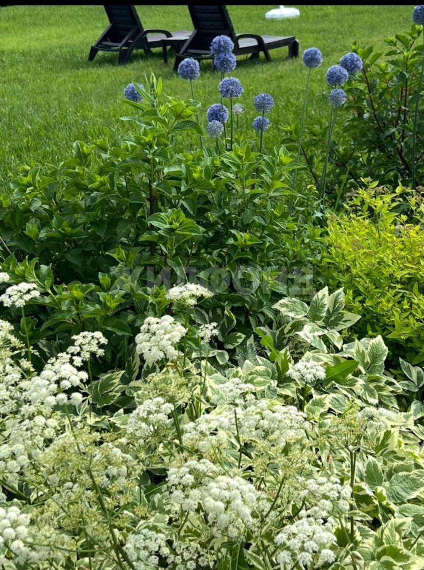 Купить дачу, дом, коттедж за 15 000 000 рублей на Снежный переулок