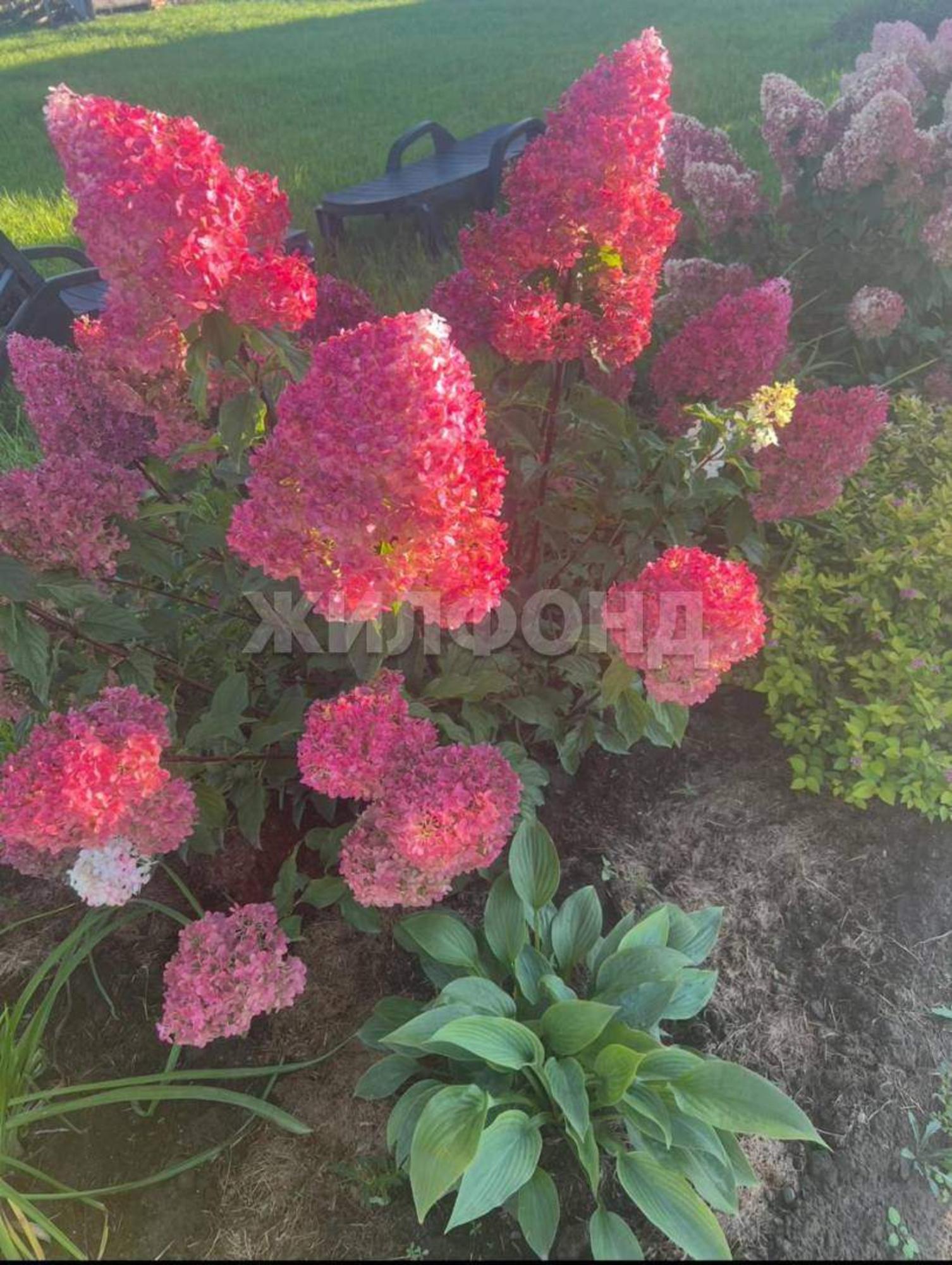 Купить дачу, дом, коттедж за 15 000 000 рублей на Снежный переулок