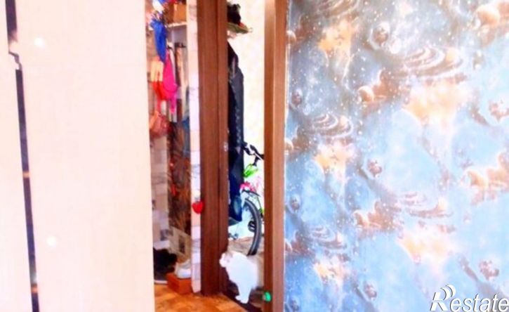 1-комн квартира улица Пушкина, 18 к2,  д. 18 к2