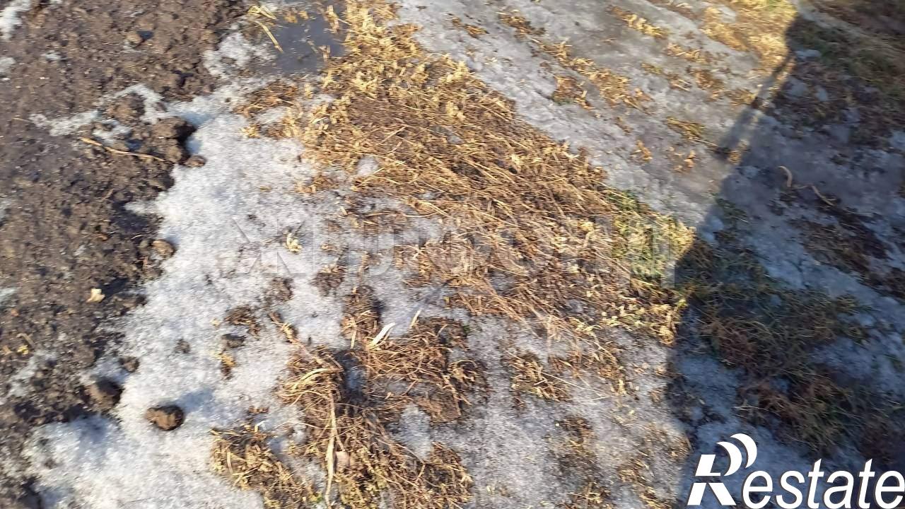 Купить дачу, дом, коттедж за 5 100 000 рублей на Щербанева ул.