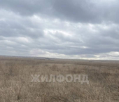 земля 14 сот Пролетарская ул.